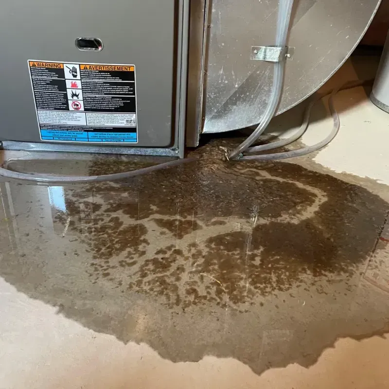 Appliance Leak Cleanup in Lewis County, KY